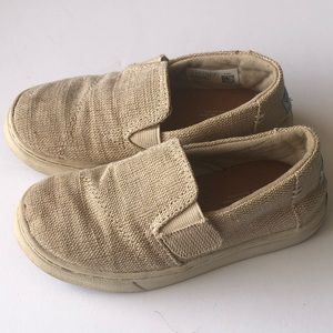 Little kids Boys tiny TOMS shoes size 10